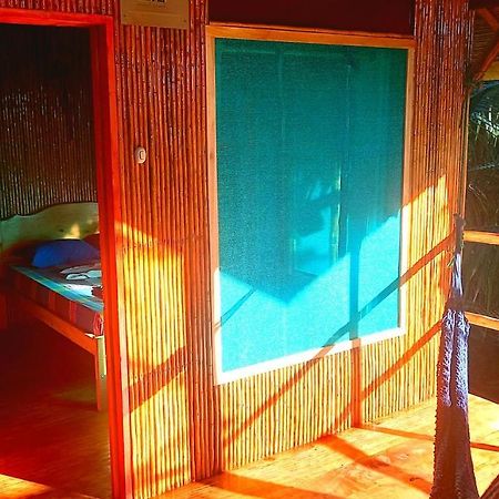 Encanto Lodge Drake Bay Bagian luar foto