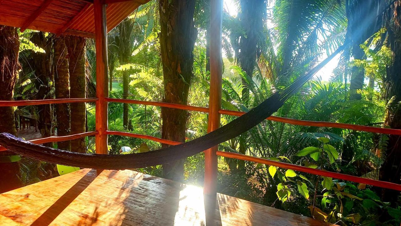 Encanto Lodge Drake Bay Bagian luar foto