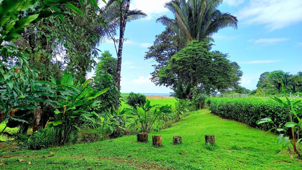 Encanto Lodge Drake Bay Bagian luar foto