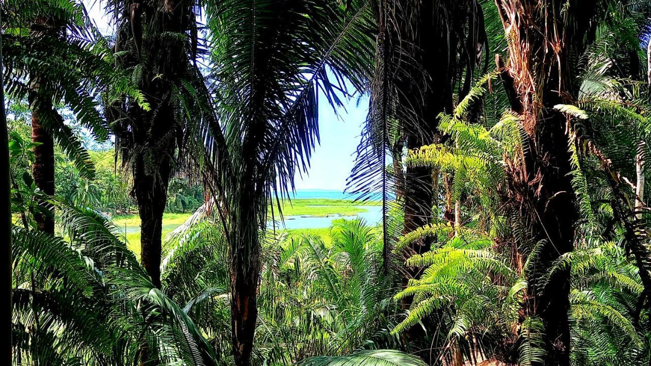 Encanto Lodge Drake Bay Bagian luar foto