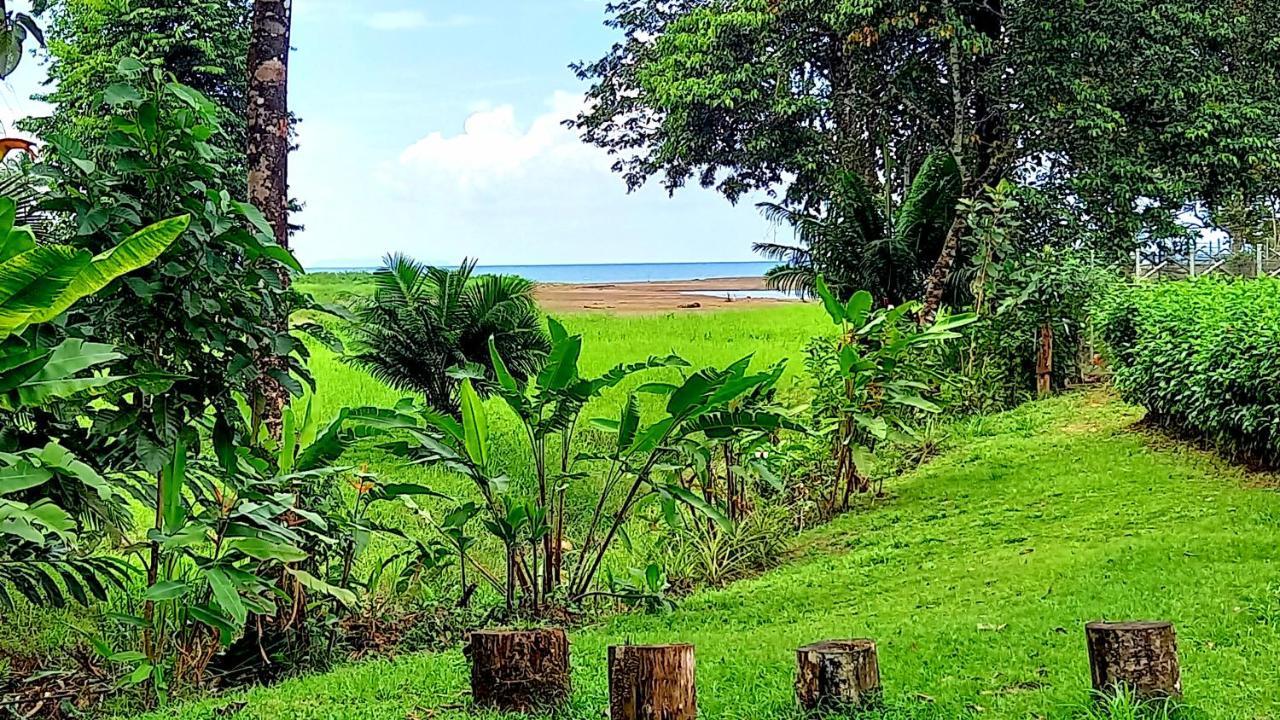 Encanto Lodge Drake Bay Bagian luar foto