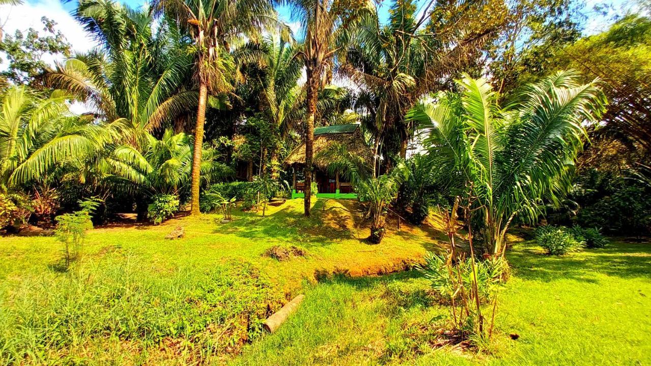 Encanto Lodge Drake Bay Bagian luar foto