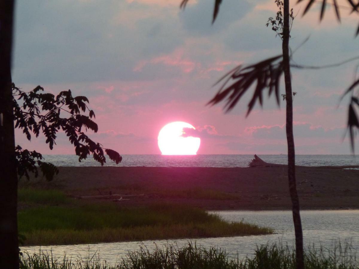 Encanto Lodge Drake Bay Bagian luar foto