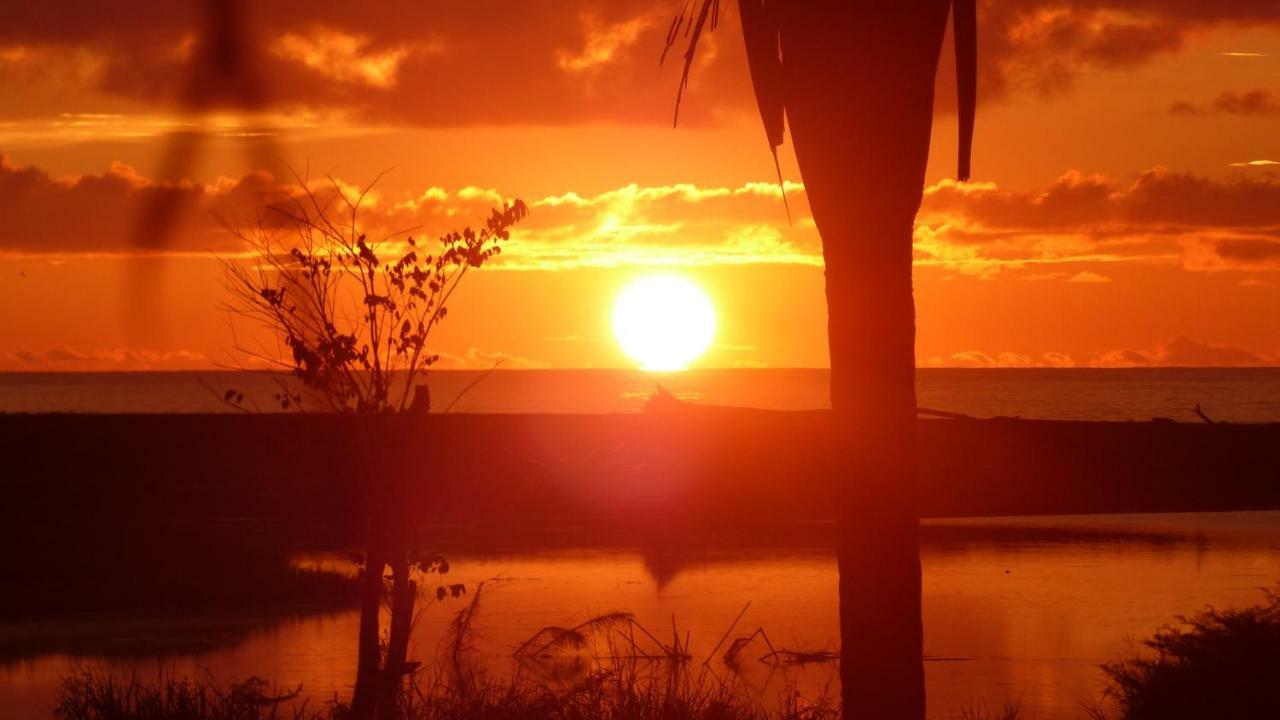 Encanto Lodge Drake Bay Bagian luar foto