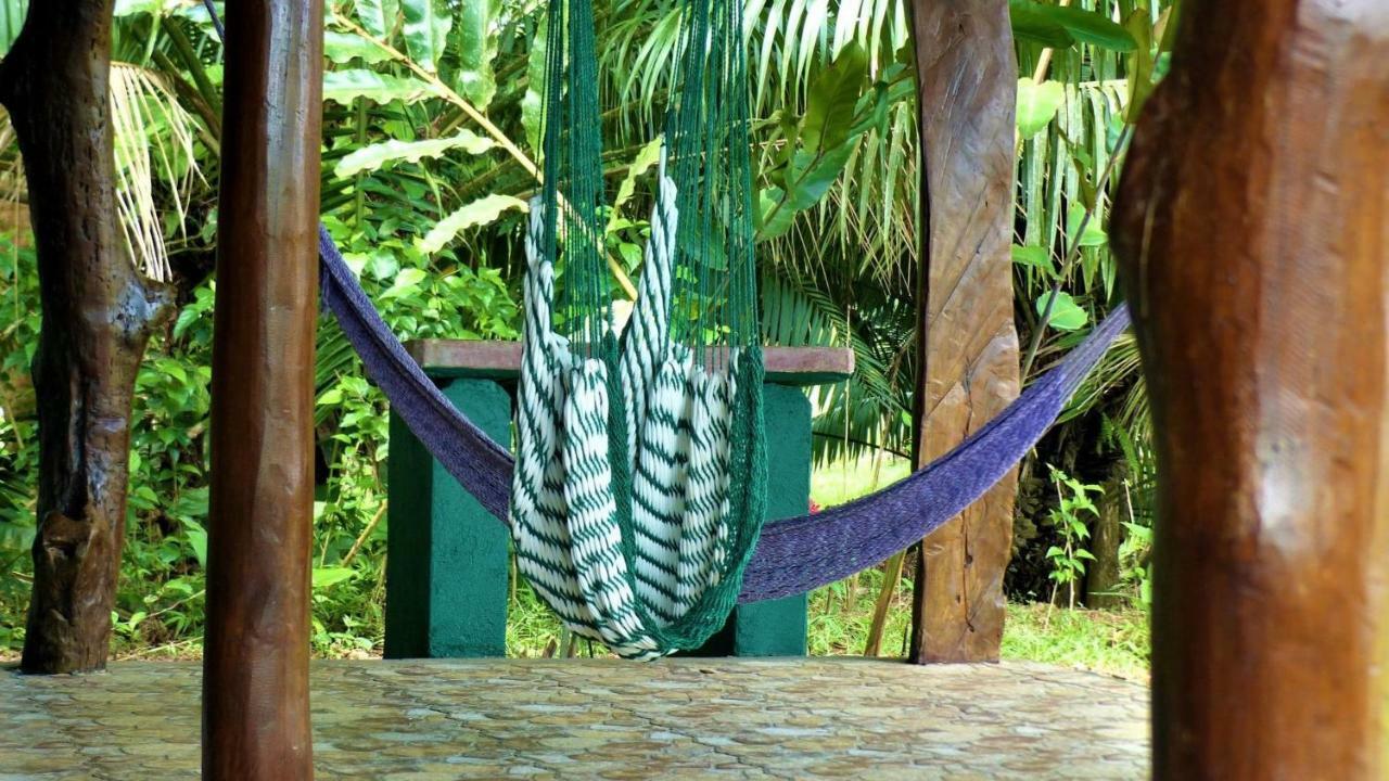 Encanto Lodge Drake Bay Bagian luar foto