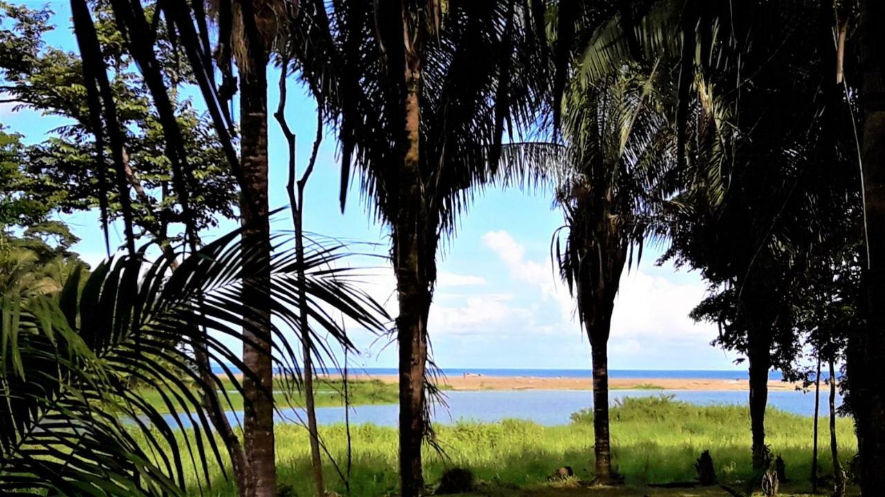 Encanto Lodge Drake Bay Bagian luar foto