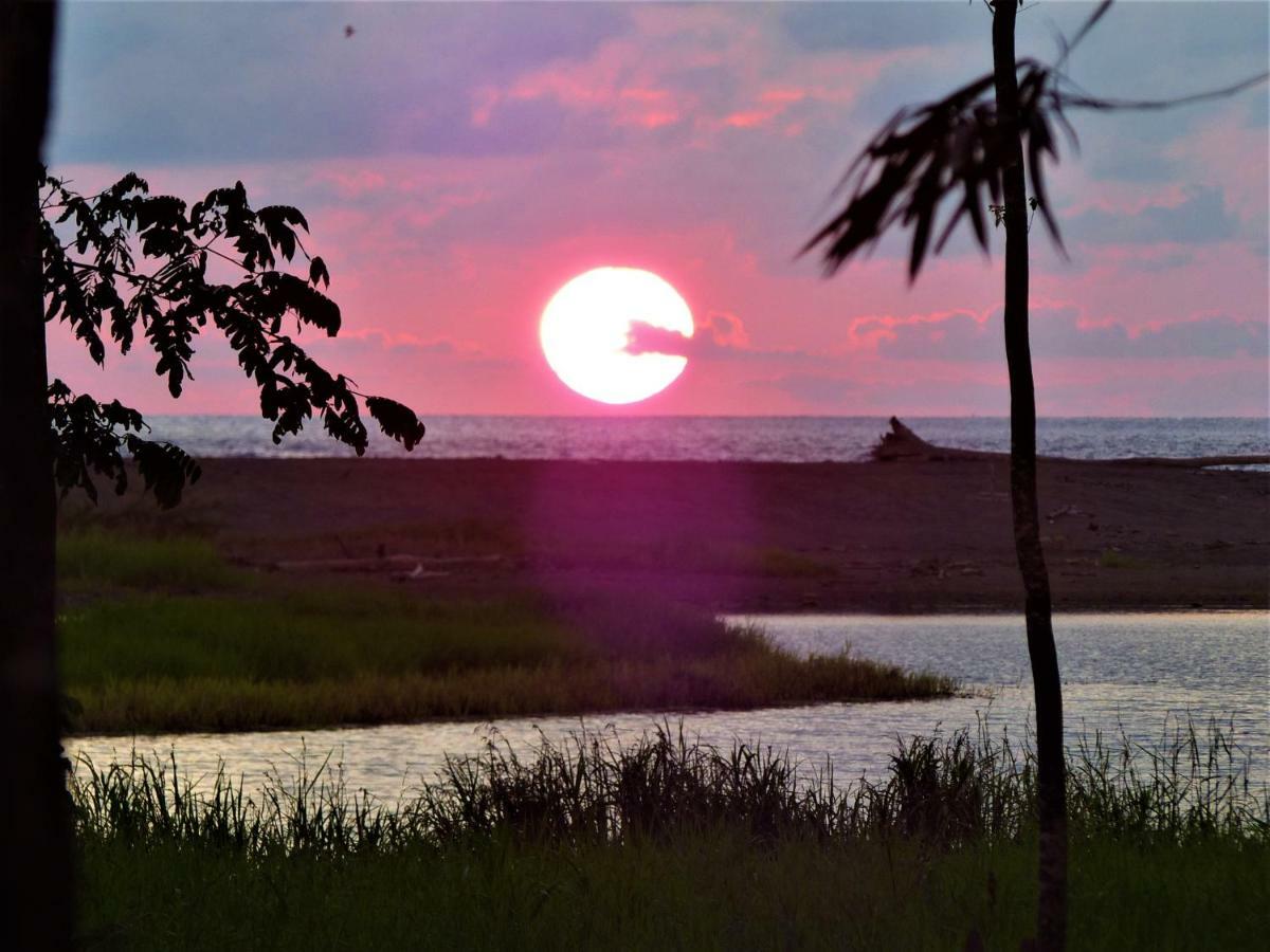 Encanto Lodge Drake Bay Bagian luar foto