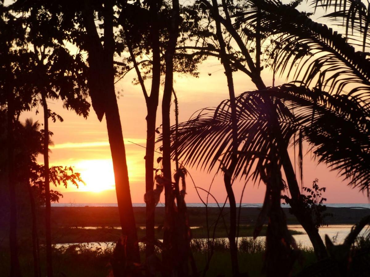 Encanto Lodge Drake Bay Bagian luar foto