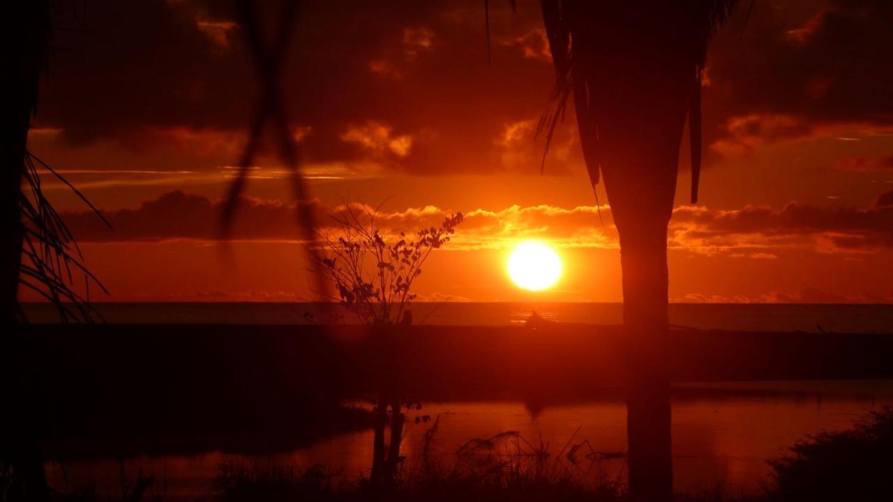 Encanto Lodge Drake Bay Bagian luar foto