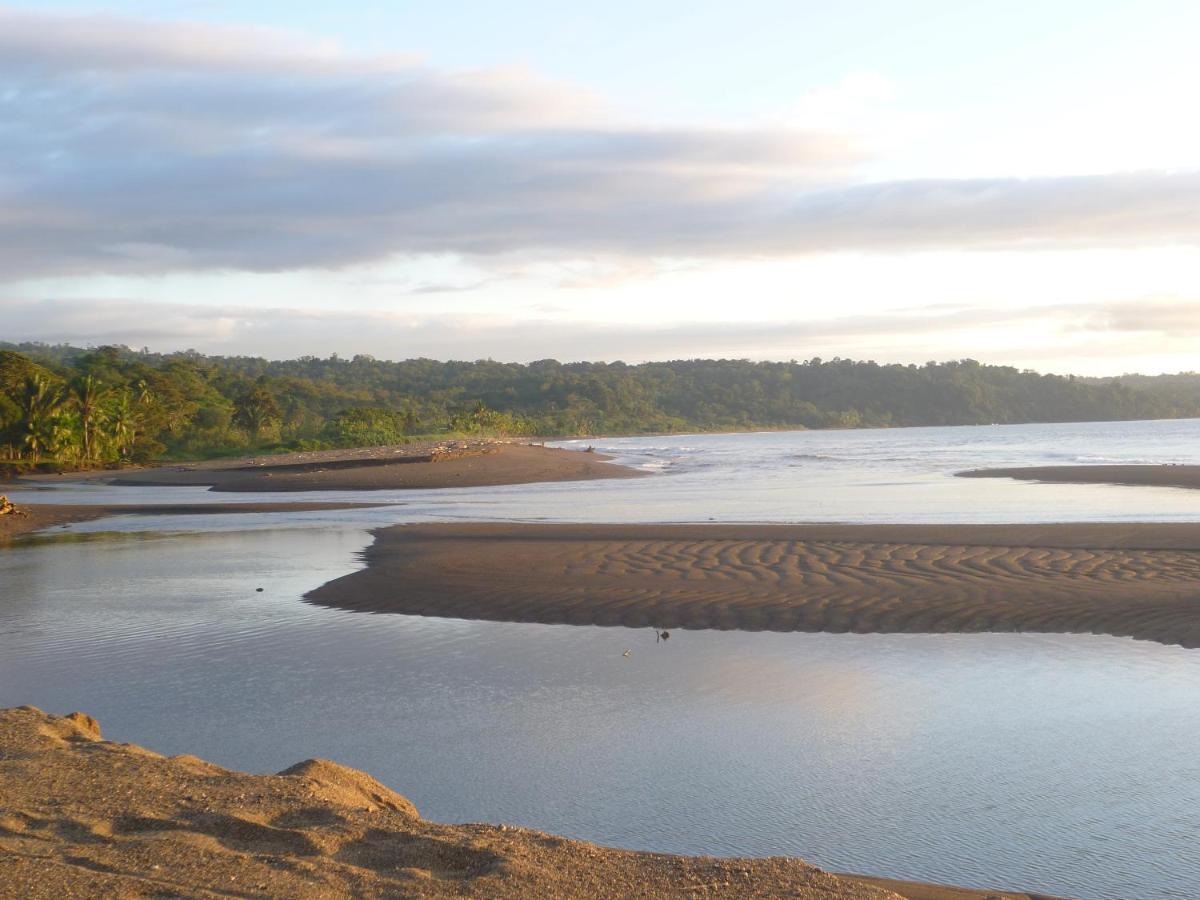 Encanto Lodge Drake Bay Bagian luar foto