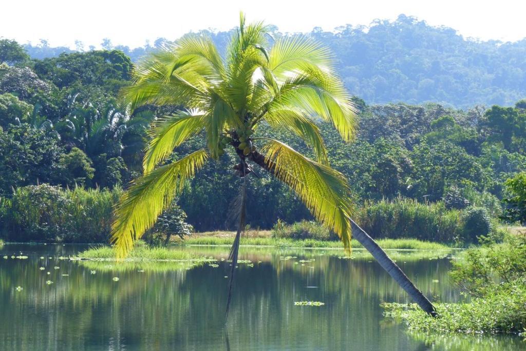 Encanto Lodge Drake Bay Bagian luar foto